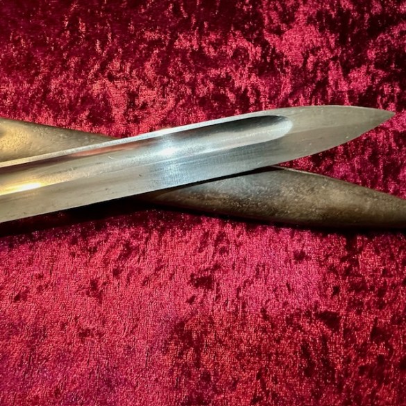 Chilean Bayonet 5